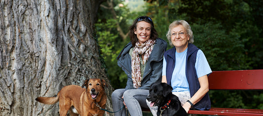 Trüffel – immer der Schnauze nach!