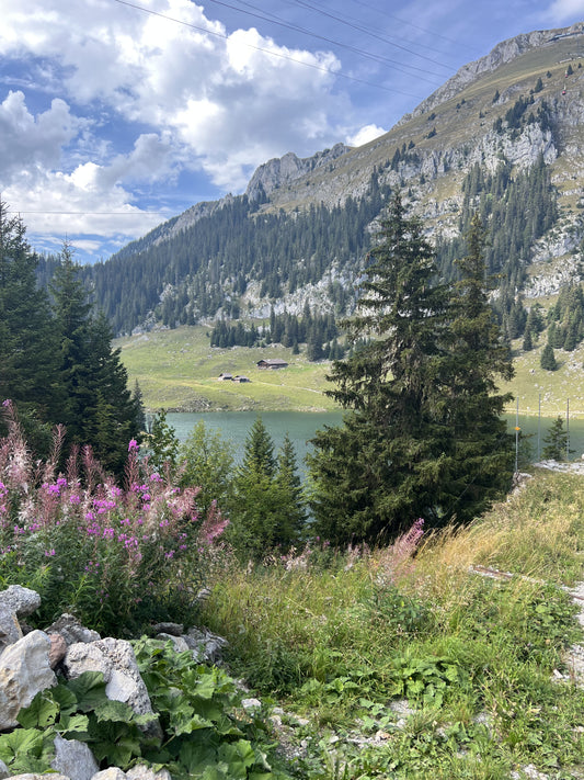 Whisky aus dem Hinterstockensee
