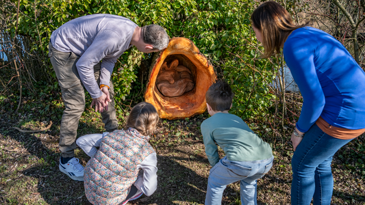 «Natur. Und du?» – Neuer Erlebnisweg auf dem Gurten