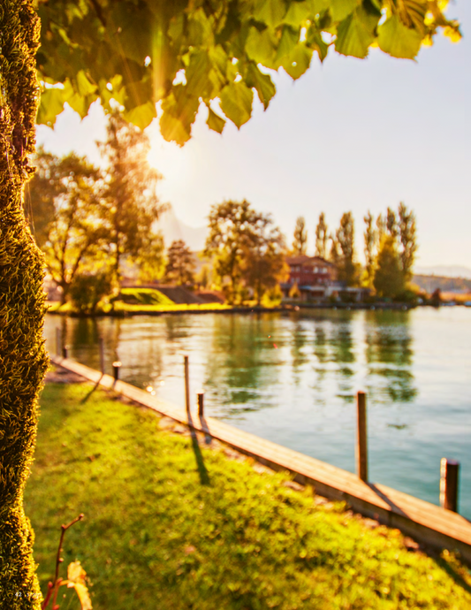 Region Thunersee im Herbst