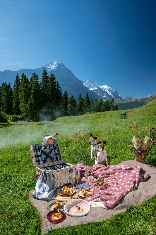 Kontrast unter dem Dreigestirn