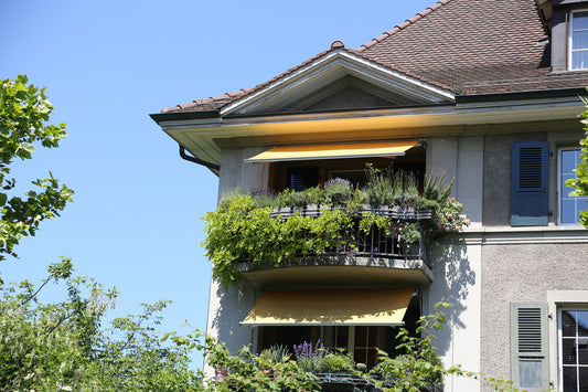 Für das Klima: Balkon, wandle dich!