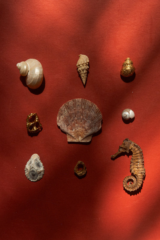 Neustart für les solides