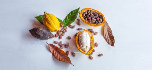 Alles rund um Schokolade