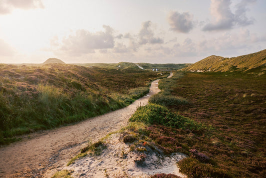 Sylt – Wenn Natur spricht und wir zuhören müssen